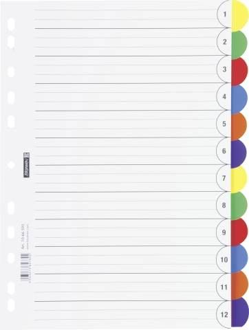 BRUNNEN Ringbuchregister A4, 12-teilig, 6 Farben, PP-Folie