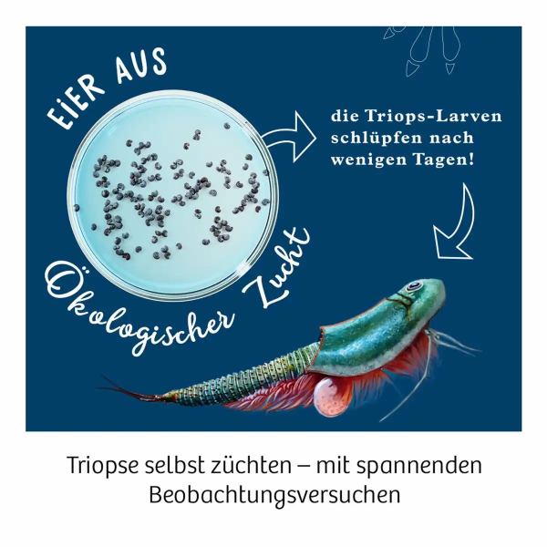 Kosmos Triops - Welt **