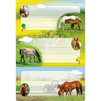 HERMA Schuletiketten Pferde 1, beglimmert HERMA Schuletiketten Pferde 1, beglimmert