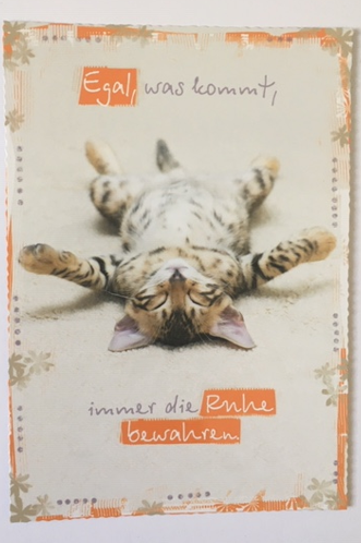 IN TOUCH Postkarte - Egal, was kommt, immer die Ruhe bewahren ... Kätzchen