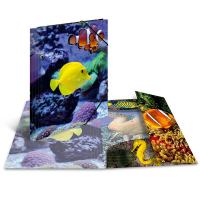 HERMA Sammelmappe Glossy Tiere A4 PP Fische HERMA Sammelmappe Glossy Tiere A4 PP Fische