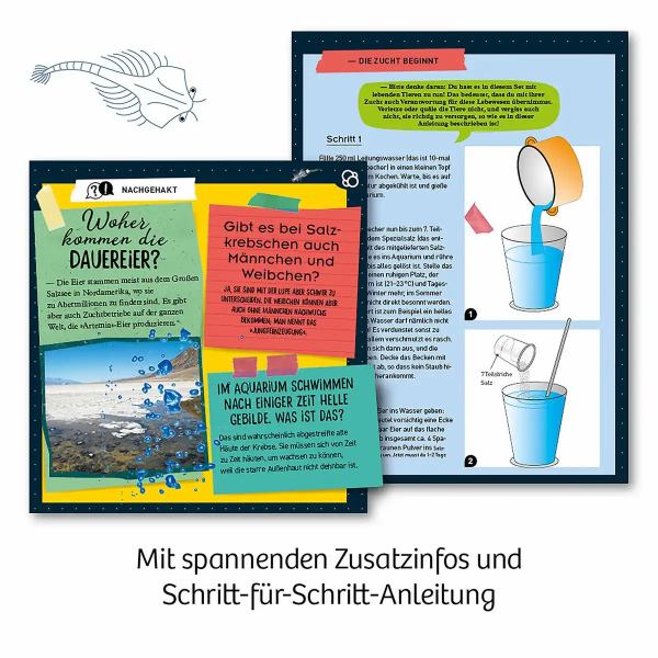 Kosmos Experimentierkasten Urzeit Krebse