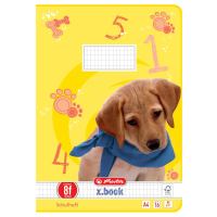 Schulheft, A4, rautiert mit Rand, LIN. 8F Schulheft, A4, rautiert mit Rand, LIN. 8F