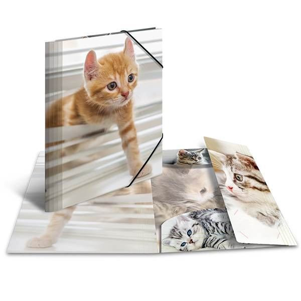 HERMA Sammelmappe Glossy Tiere A3 PP Katzen