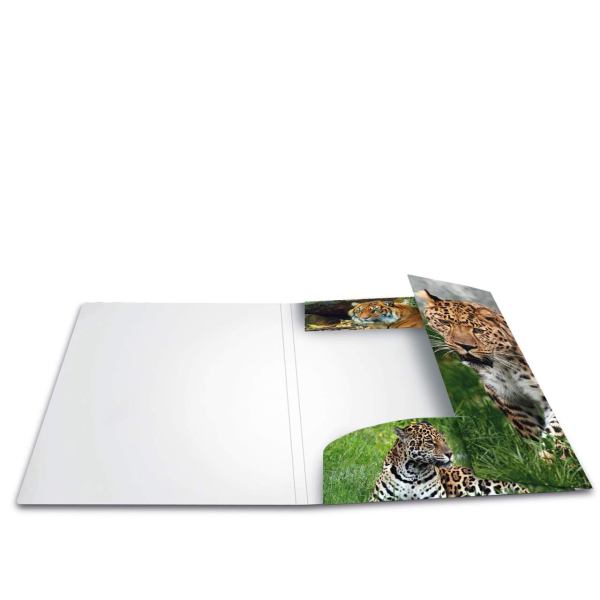 HERMA Sammelmappe A3 PP Leopard