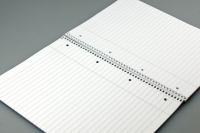Vorschau: Staufen Collegeblock A4 - Lin21 - 80Blatt - weiß - liniert mit Innenrand - 4 x gelocht Vorschau: Staufen Collegeblock A4 - Lin21 - 80Blatt - weiß - liniert mit Innenrand - 4 x gelocht