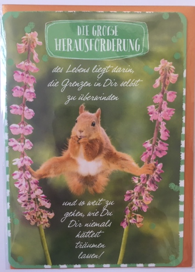 IN TOUCH Umschlagkarte, veredelt - Die große Herausforderung... Eichhörnchen