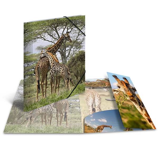 HERMA Sammelmappe Glossy Tiere A3 PP Giraffe