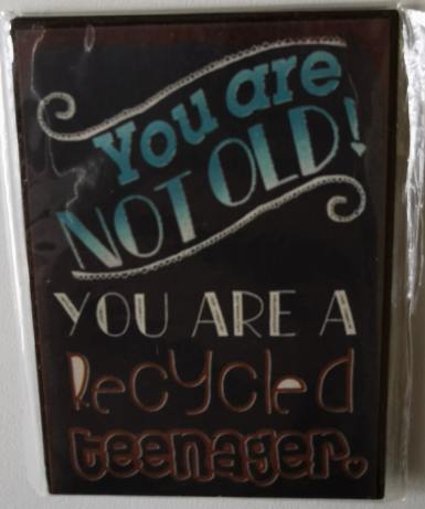 Magnetschild - 7x5cm - You are not old! You are a recycled teenager.