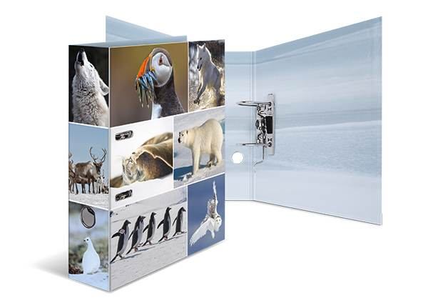 HERMA Motivordner A4 Karton Animals Eiswelten