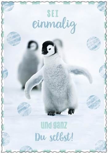 IN TOUCH Postkarte - SEI einmalig und ganz Du selbst .... Pinguin