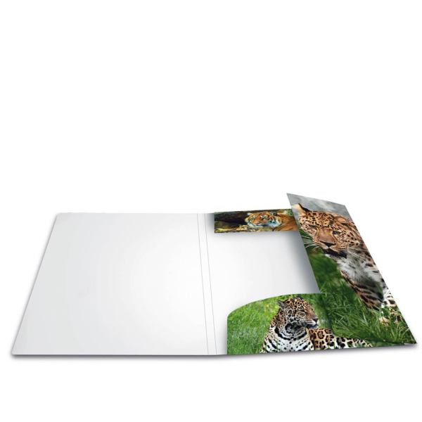 HERMA Sammelmappe A3 PP Leopard