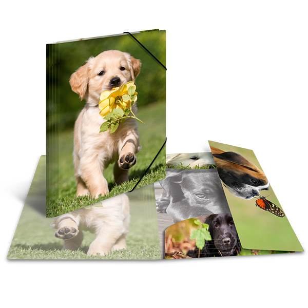 HERMA Sammelmappe Glossy Tiere A4 PP Hunde