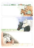 HERMA Schuletiketten Pferde HERMA Schuletiketten Pferde