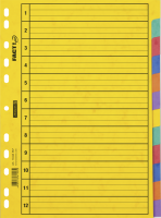 Brunnen Ordnerregister Ringbuchregister 12-teilig Brunnen Ordnerregister Ringbuchregister 12-teilig